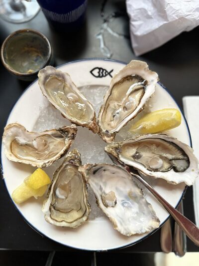 Oysters on a plate looking yum